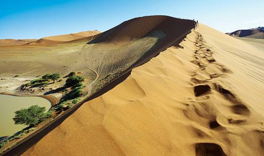 People walking across a golden sand dune, Namibia