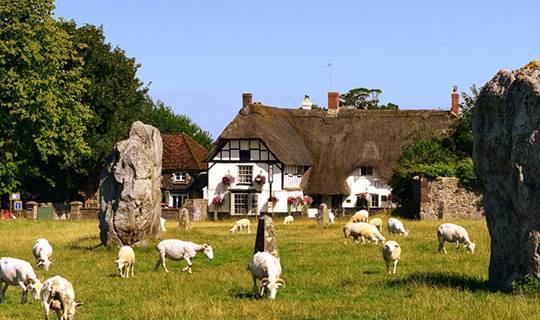 Sheep grazing in front of a white cottage, UK