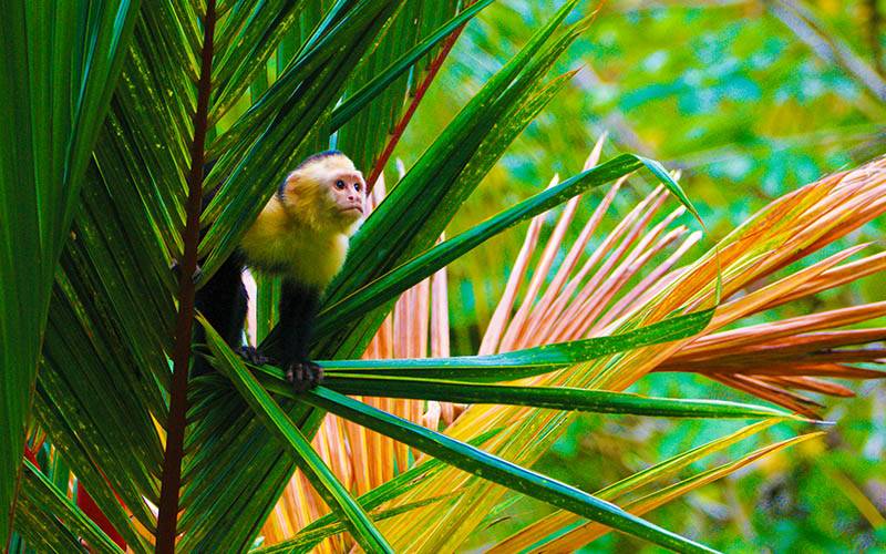 Costa Rica