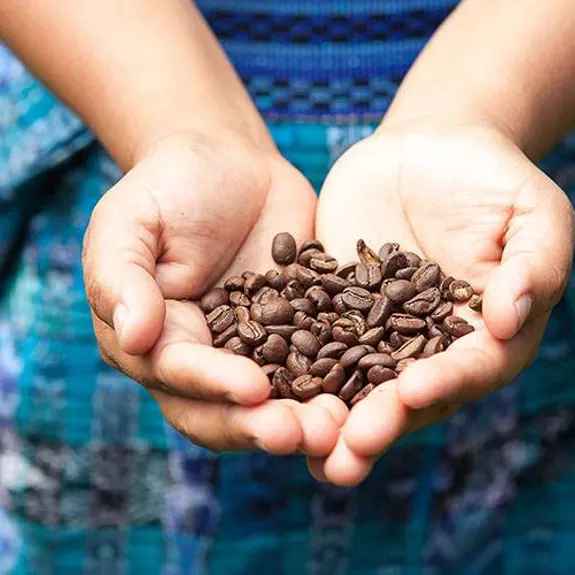 Coffee Beans
