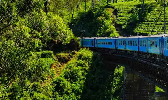 Train in Asia