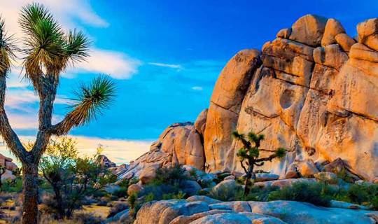 Joshua Tree National Park, USA