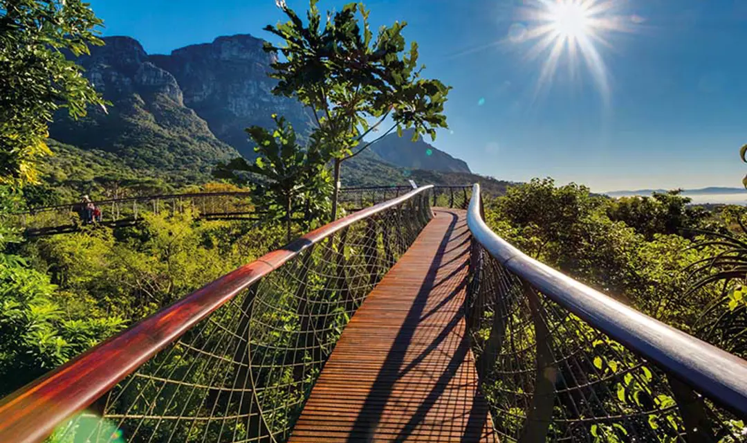 JY Inspirations Glorious gardens South africa