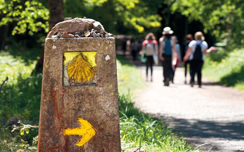 Guided walking holidays singles top