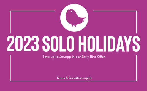 2023 solo holiday offers