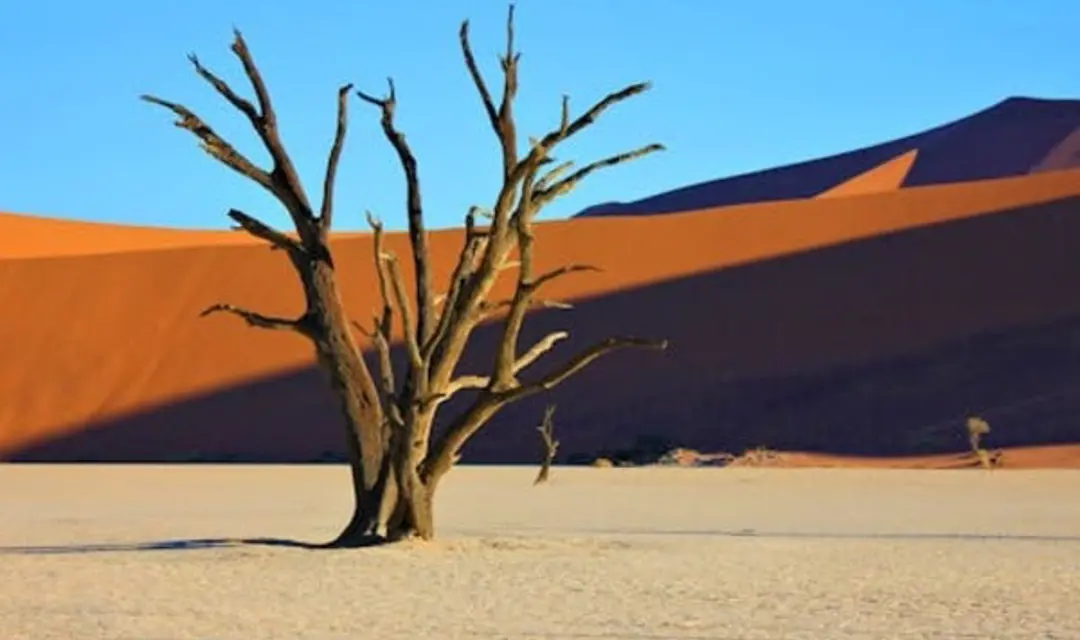 Namibia Where Is Hot In January