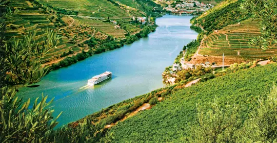 Cruising the Douro Valley.jpg