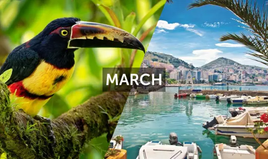 03 Mar 2025 - Content Pod.jpg