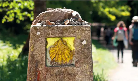 walking in camino