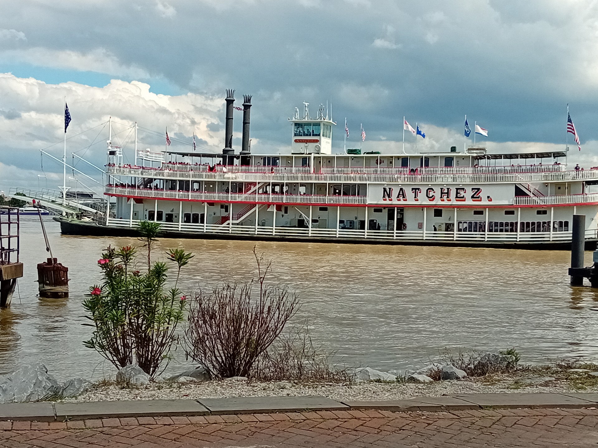 Paddle Steamer.jpg