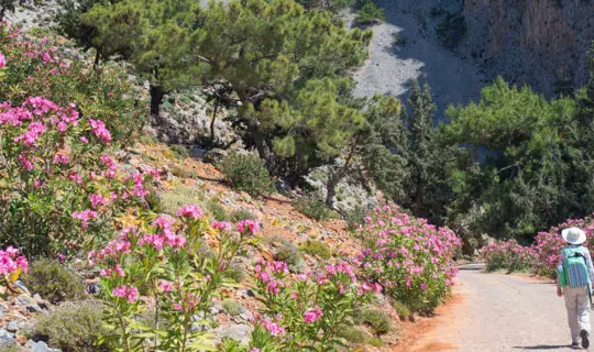 Walking in Crete