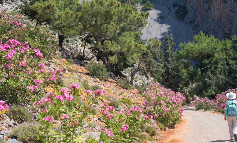 Walking in Crete