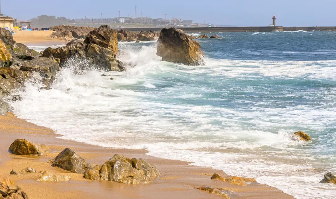 Things to do in Porto - Foz do Douro