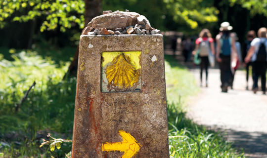 st james sign shells marks for pilgrims 