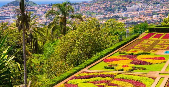 madeira botanical gardens