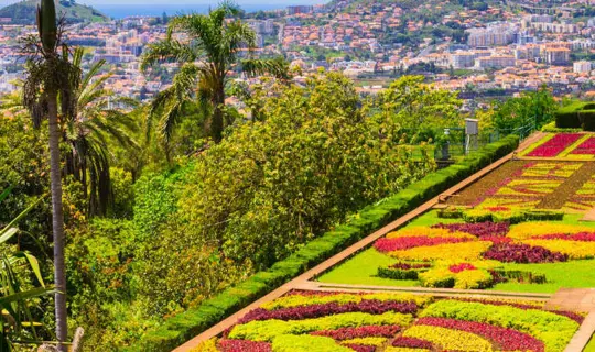 madeira botanical gardens