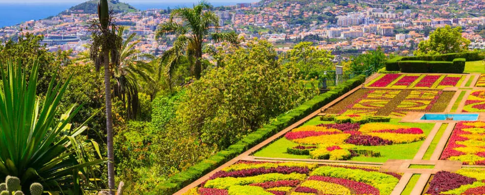 madeira botanical gardens