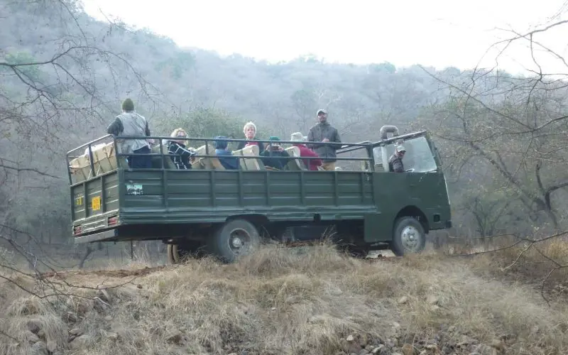 slind2_safari_patricia.jpg