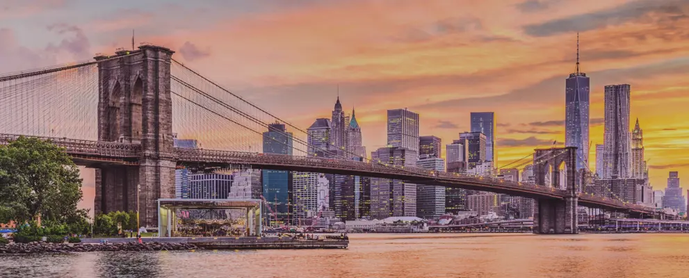 SB header  25.png