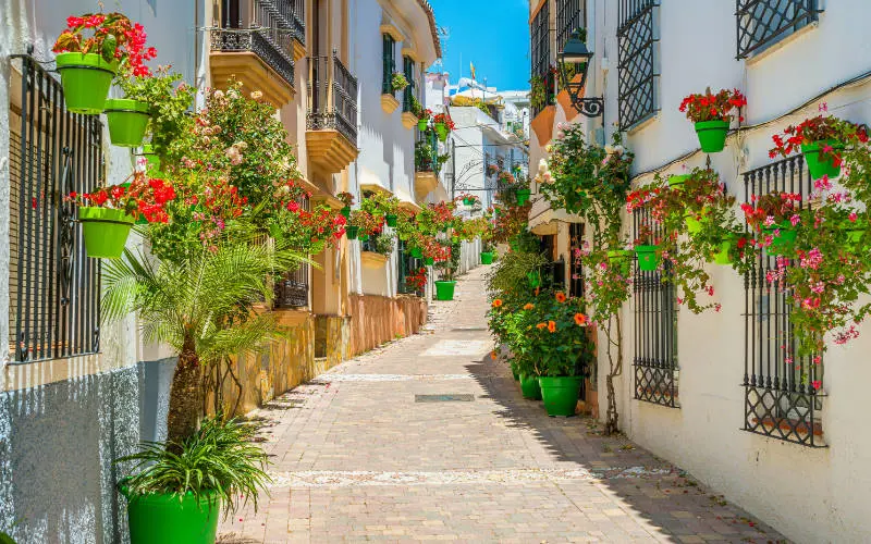 Sunny street in Malaga - things to do in Andalucia