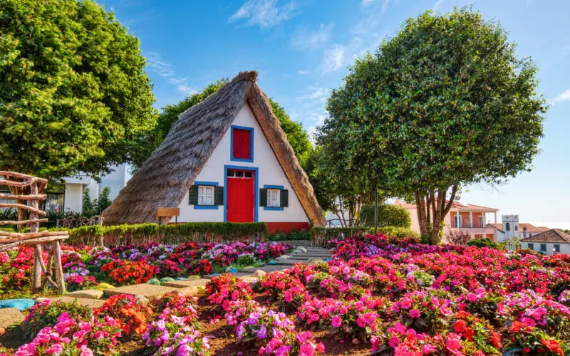 A cottage in Santana, Madeira, surrounded by bright flowers
