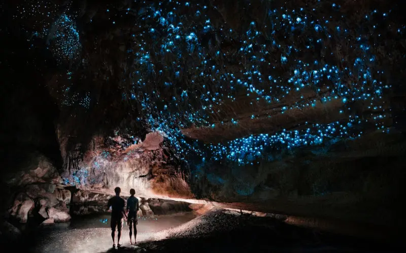 Glowworm Caves - things to do in New Zealand