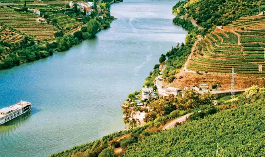 Cruising the Douro Valley