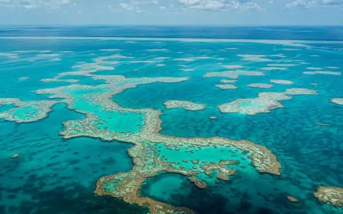 slah-great-barrier-reef-800x500.jpg