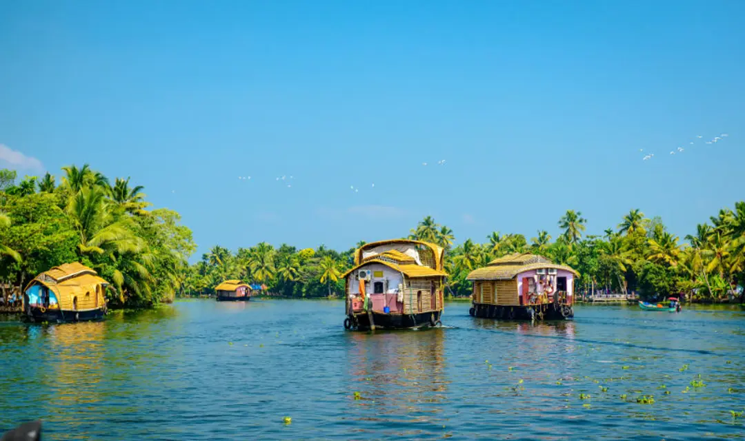 Kerala Backwaters -  solo holidays to India